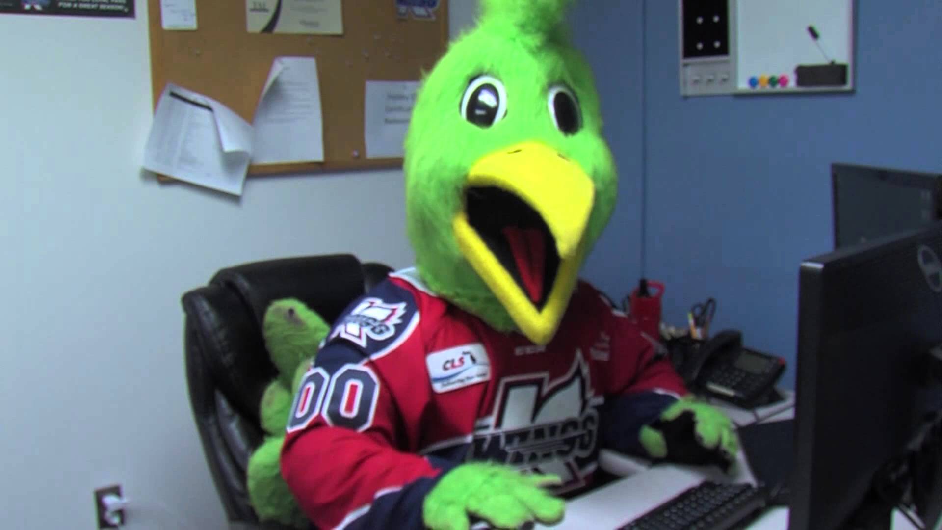 1920px x 1080px - VIDEO] Hockey mascot searching for bird porn â€“ Hockey Squawk